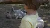 302375_171118_entre_ojos.jpg