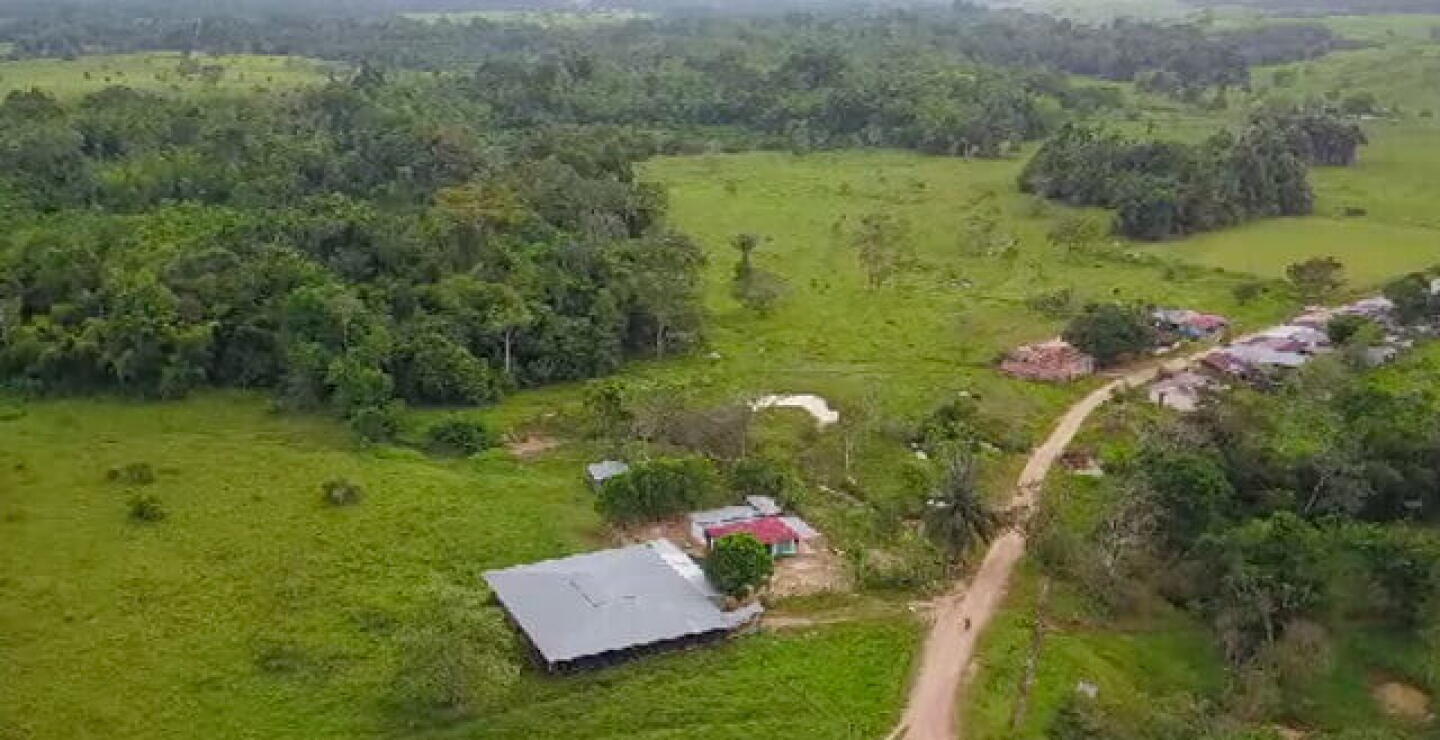 deforestacion-colonos.jpg