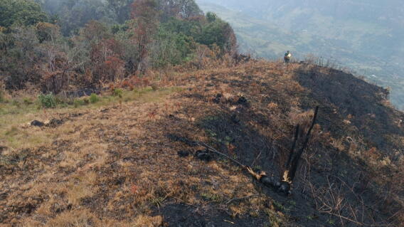Incendio en San Andrés, Santander