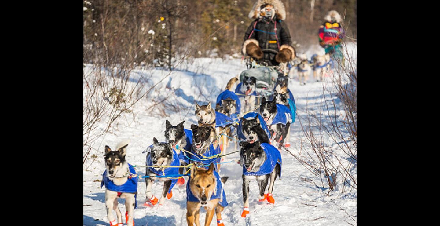 La competencia es de tal nivel que sus participantes se preparan casi durante todo un año para lograr alcanzar el preciado título. 