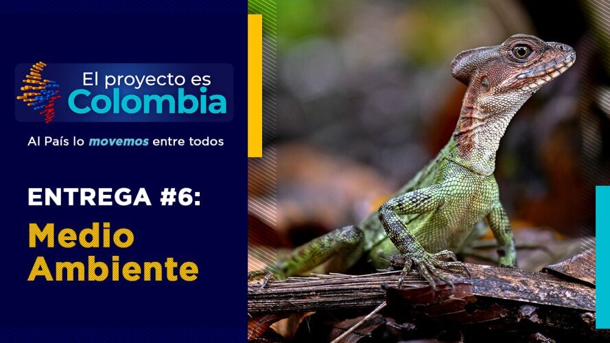 Medio Ambiente
