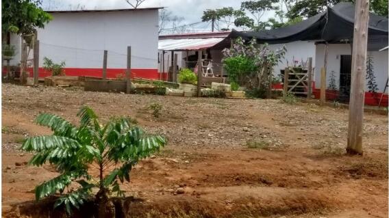 305264_Foto: Vereda Gallo / BLU Radio