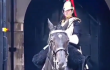 Tiktoker se las da de "chistoso" con guardia real británico