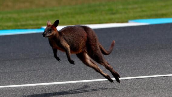 AFP AFP