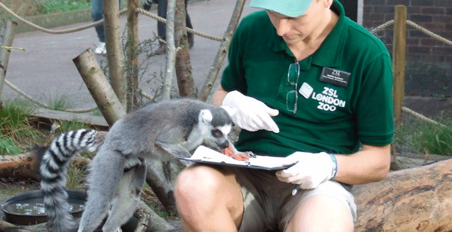 londonzoo6.gif