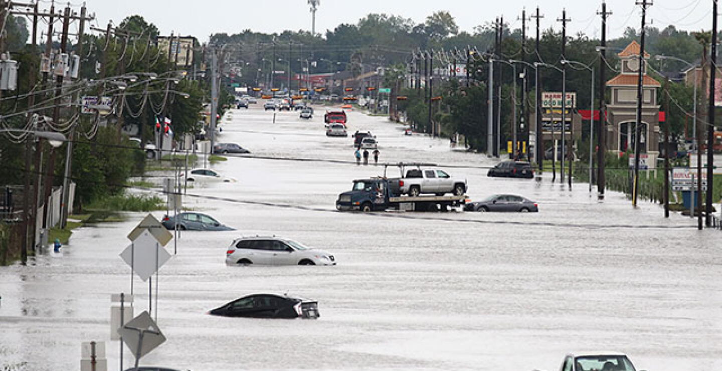 harvey_0.jpg
