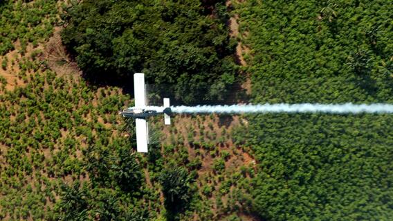 91551_Aspersión aérea. Foto: AFP 91551_Aspersión aérea. Foto: AFP