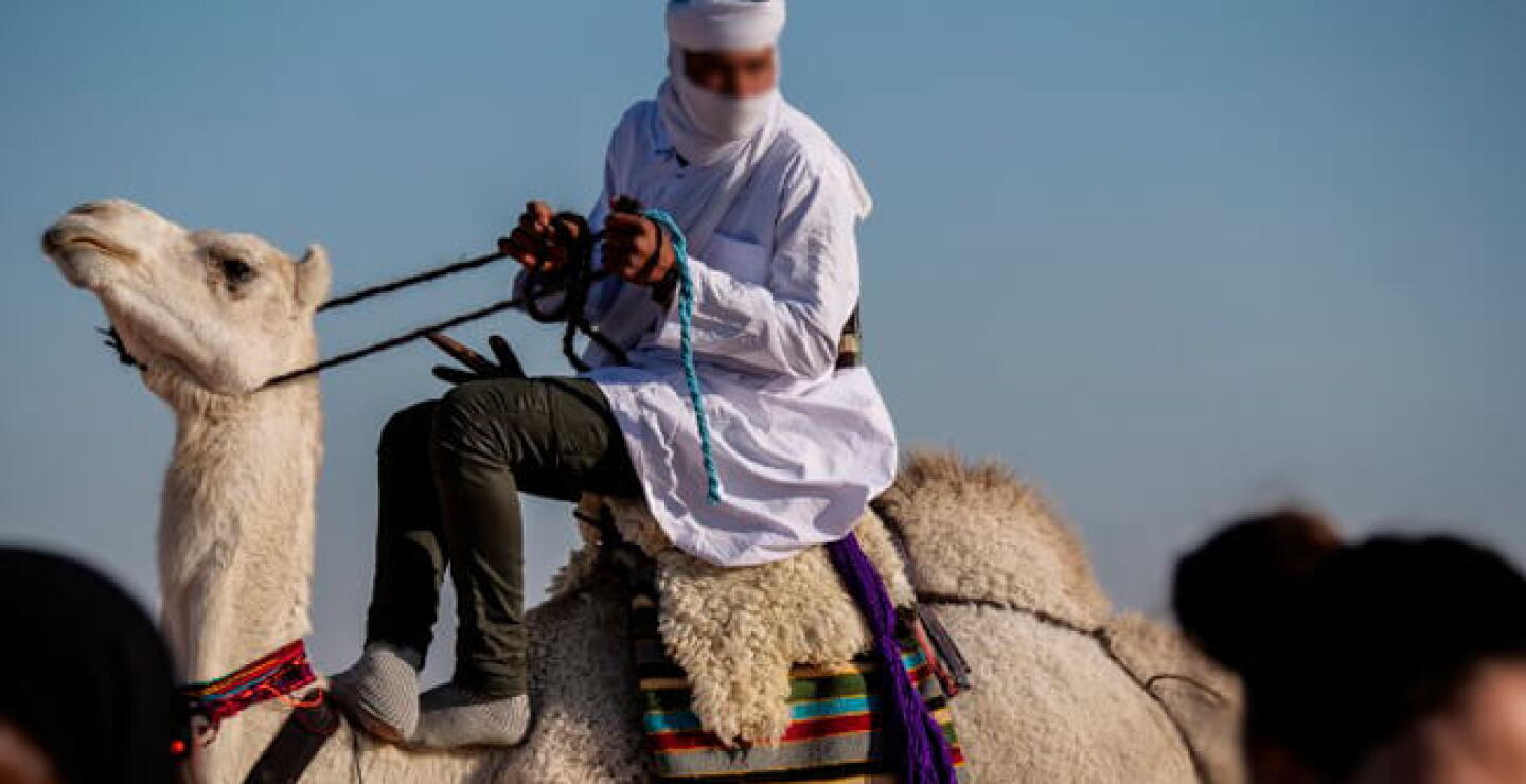 camel.jpg
