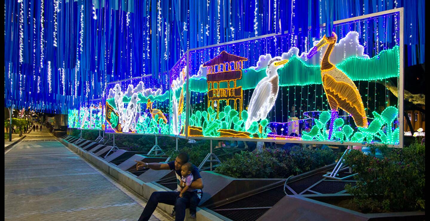 También se presentará la Mamba Negra, un excelente grupo que evidencia el talento del Pacífico colombiano, además del 'mapping' sobre el edificio del CAM.