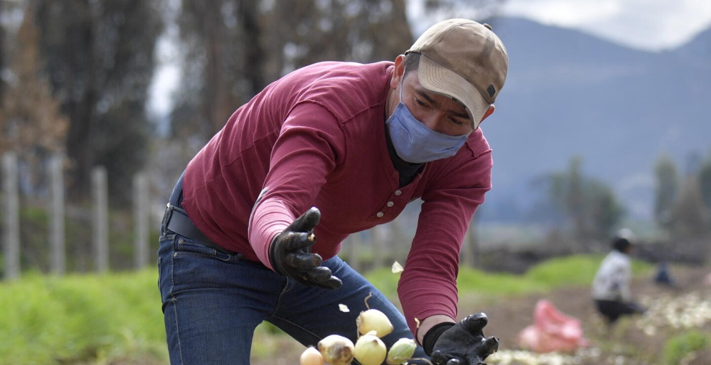 360975_Agricultura. Foto: AFP