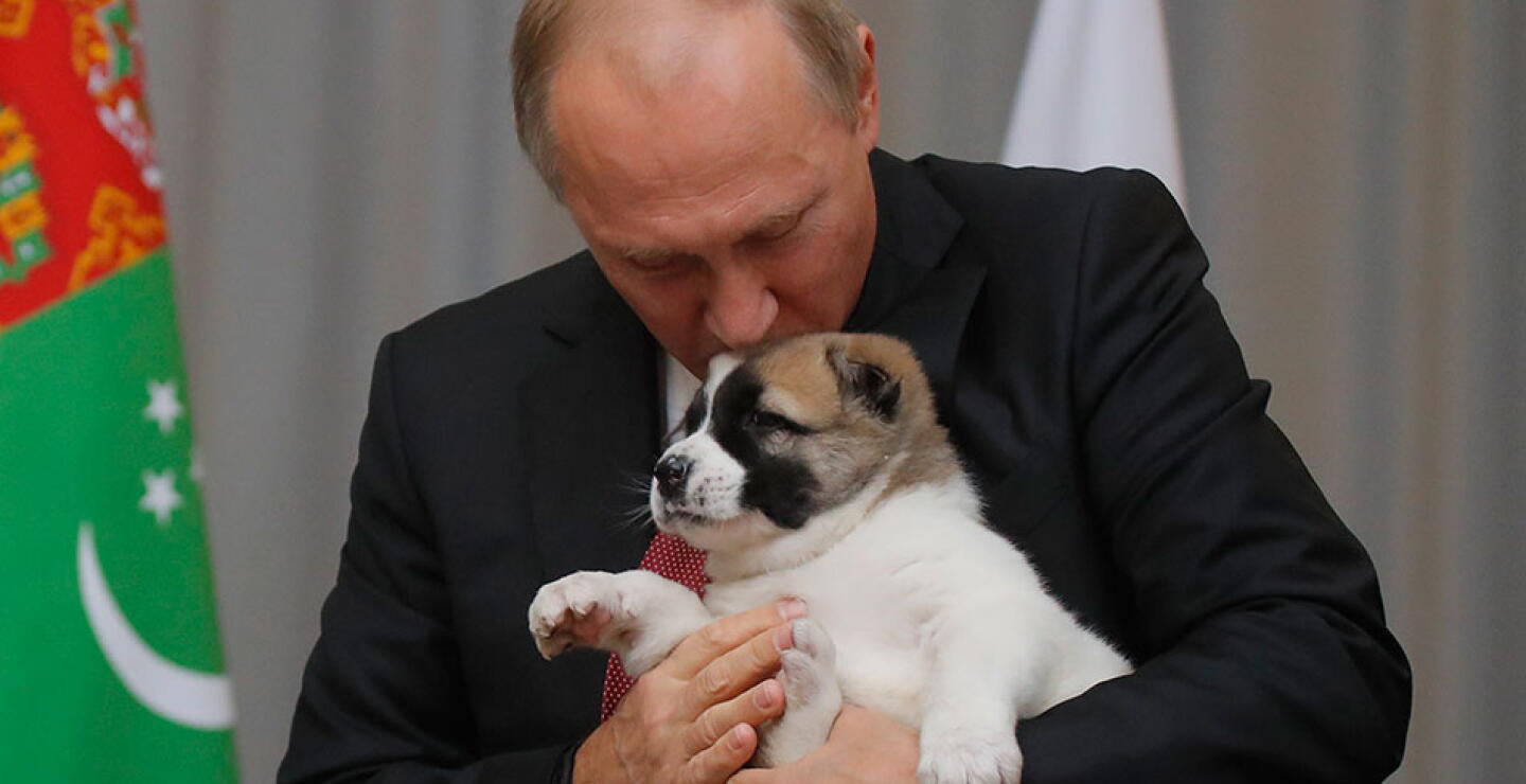putinpuppy.jpg
