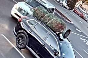 Roban árbol de Navidad