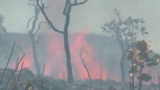 Aumentan incendios en Amazonía pese a que Bolsonaro prohibió más quemas en Brasil Aumentan incendios en Amazonía pese a que Bolsonaro prohibió más quemas en Brasil