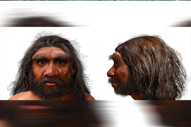 Hombre dragón, nueva especie