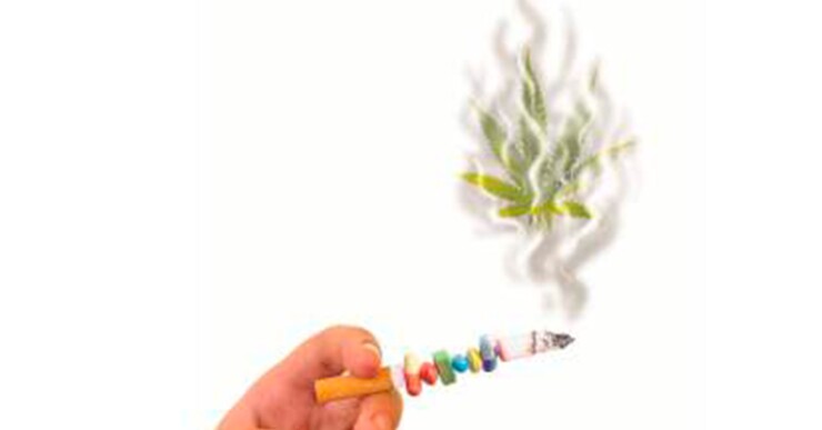 Por otra parte, el ministerio reportó el primer cannabinoide sintético encontrado en Colombia, el AM-2201, un químico elaborado artificialmente que actúa en el sistema nervioso central mediante un mecanismo equivalente al de la marihuana.