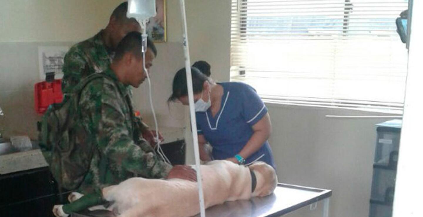 Fotos cortesía: Ejército Nacional de Colombia