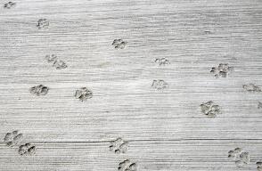 17674_Foto de referencia: Getty Images