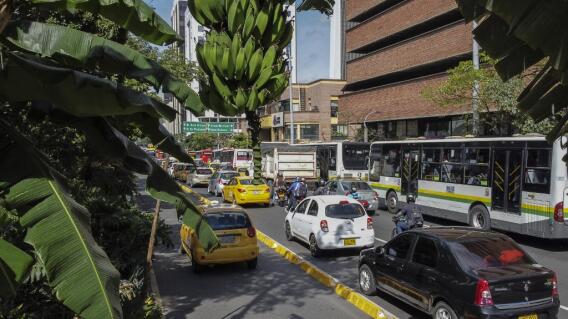 Pico y placa en Medellín Pico y placa en Medellín