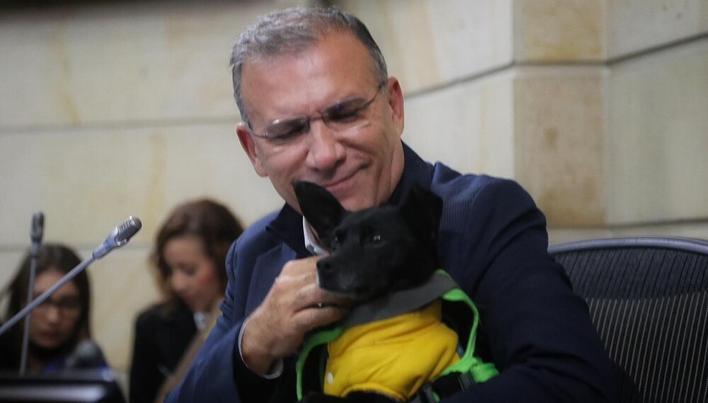 Video: Roy Barreras y el perrito 'Covid': Congreso será Pet Friendly | Nación | BluRadio