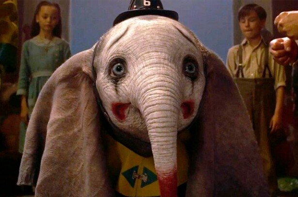 dumbo.jpg