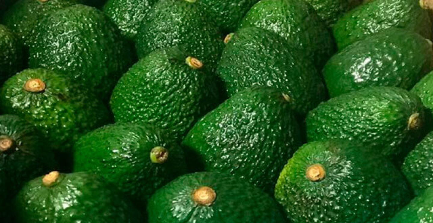 aguacate-hass-colombia.jpg