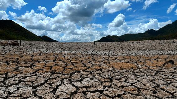 353837_El 2019, año más caluroso de la historia / Foto: AFP
