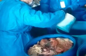 350846_BLU Radio. Fábrica ilegal de embutidos en Bosa // Foto: BLU Radio