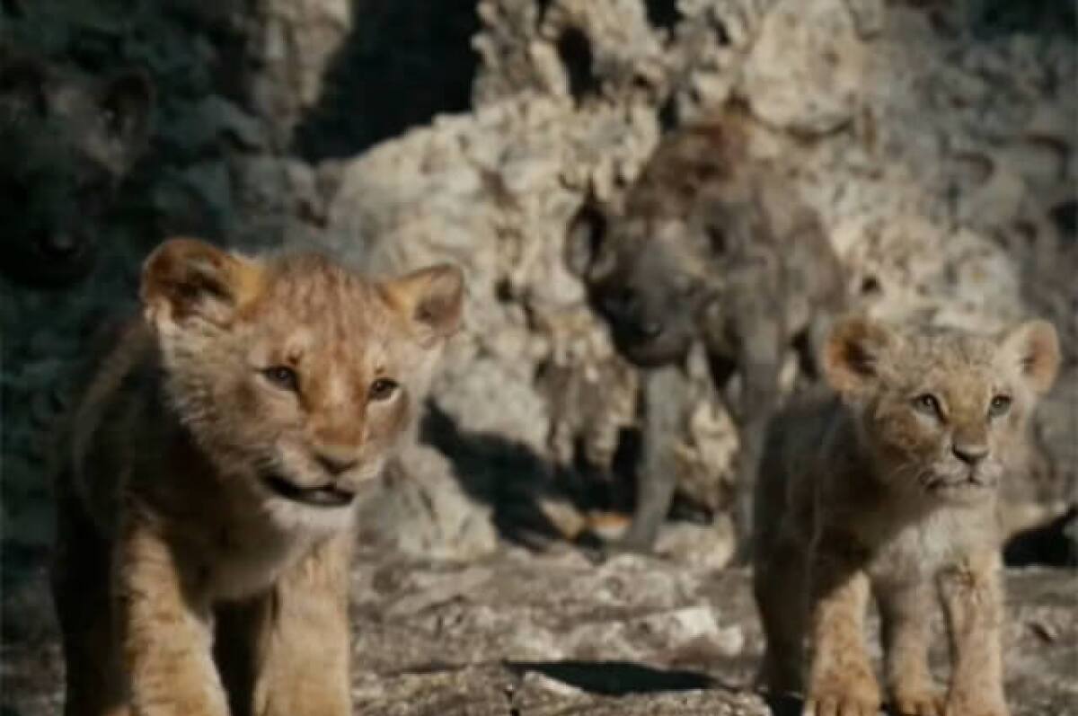estrenoreyleon.jpg