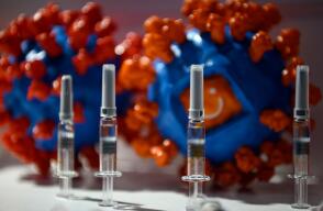 377205_Investigaciones de vacuna contra el COVID-19 // Foto: AFP