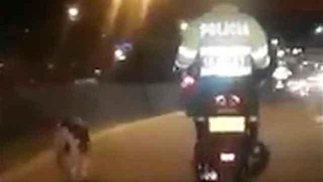 Policía que escoltó a cachorro en peligro se lleva todos los aplausos en redes