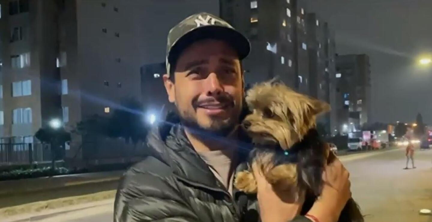 Emotivo reencuentro entre el perrito Vicente y su dueño en Bogotá