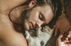 395442_gatos1.jpg