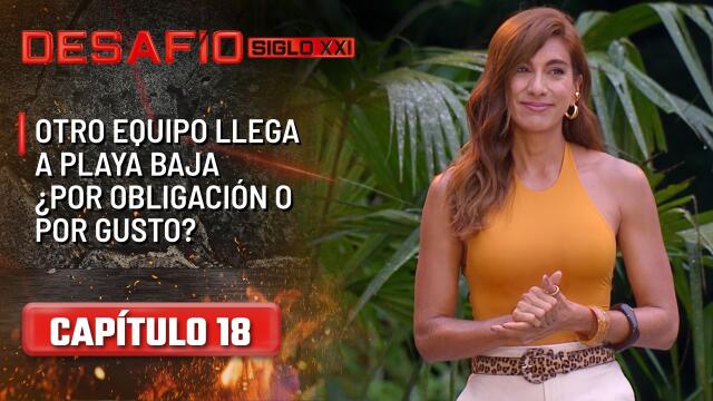 Capítulo 17 Desafío Siglo XXI