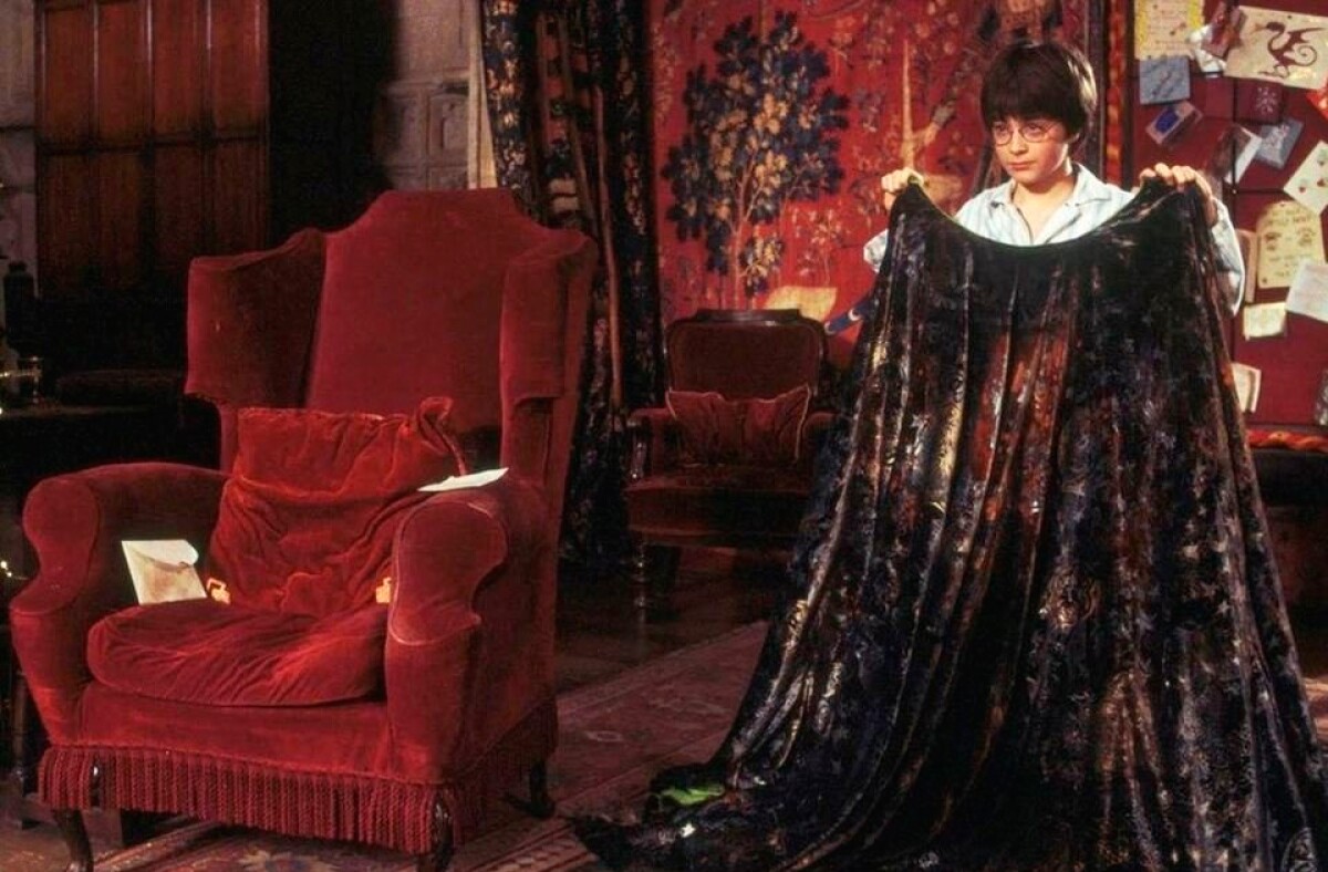 harry.jpg