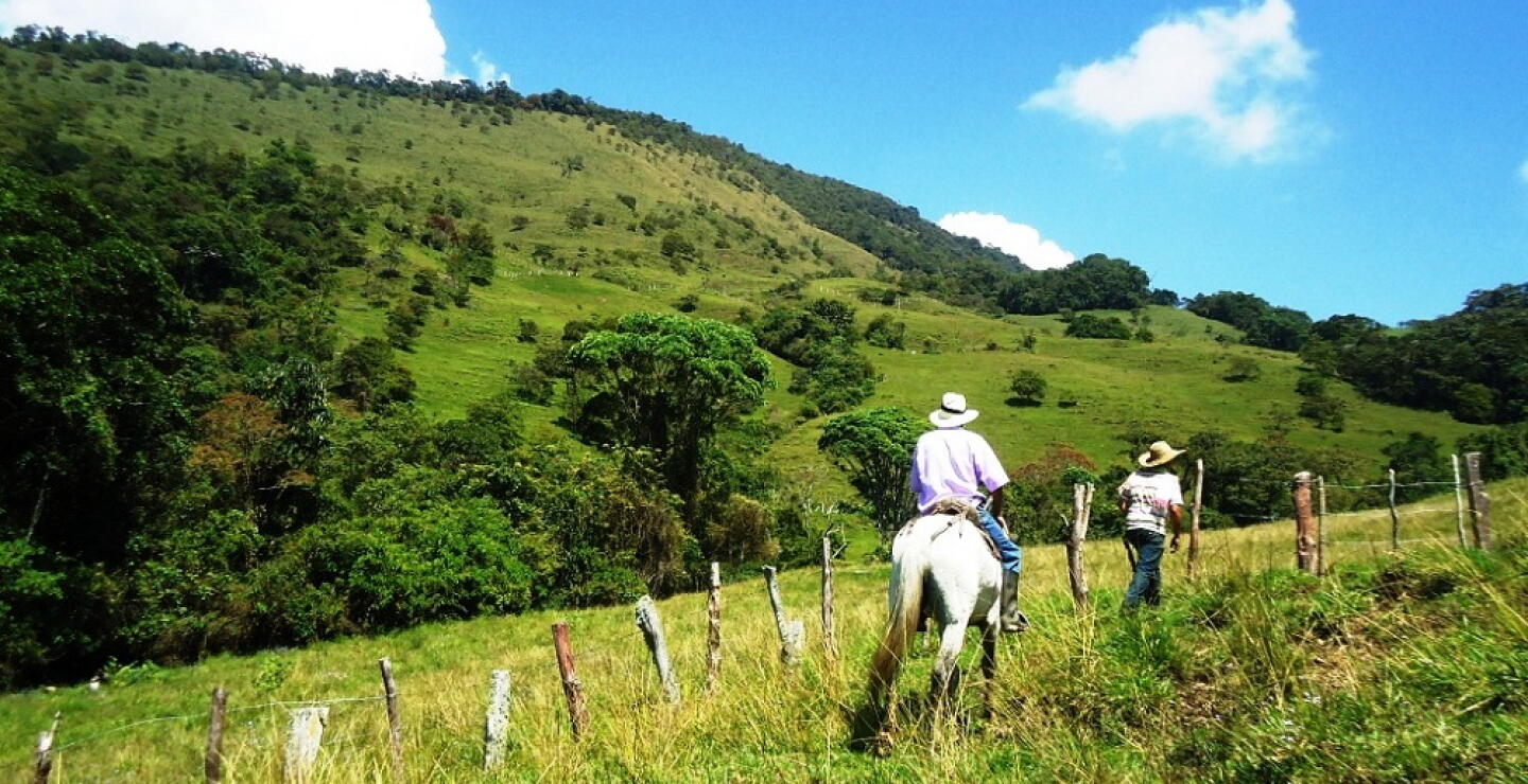 273916_Foto referencia campo CAS