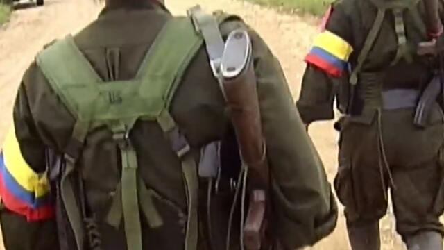 Violencia que afecta al Cauca Violencia que afecta al Cauca