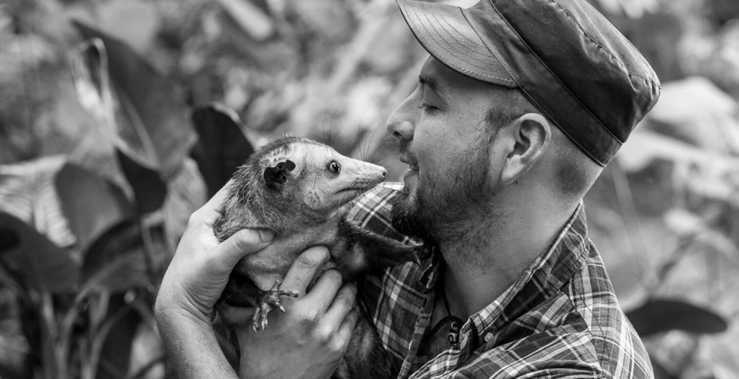El refugio recibe zarigüeyas, búhos, aves rapaces, ardillas, loros, reptiles, entre otros. Animales que según Davis han sido hechos a un lado por su apariencia.