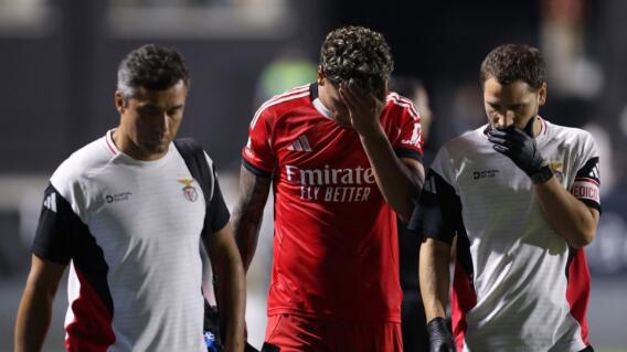 Richard Ríos no pudo continuar en Benfica frente a Estrela da Amadora.