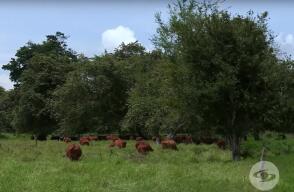 352454_110919_la_finca_de_hoy.jpg