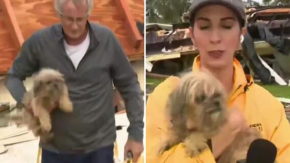 Periodista rescató en vivo a un pequeño perro cuyos dueños murieron por el huracán Milton Periodista rescató en vivo a un pequeño perro cuyos dueños murieron por el huracán Milton
