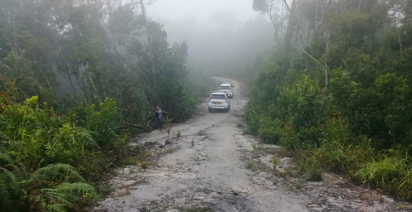 277529_Foto: Andrés Cardoso