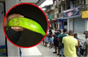 platano.JPG