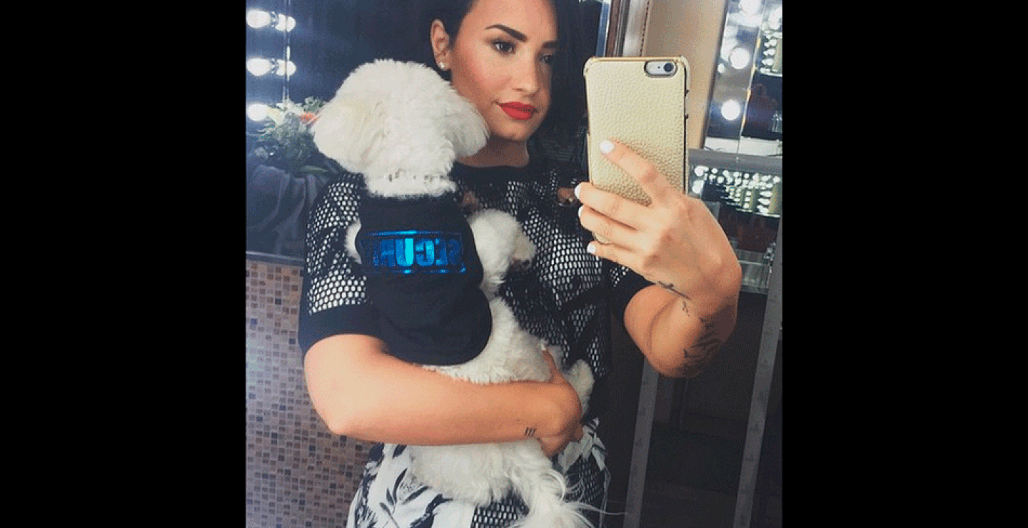 demi3.gif