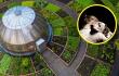 ¿Puedo ingresar con mi mascota al Jardín Botánico?