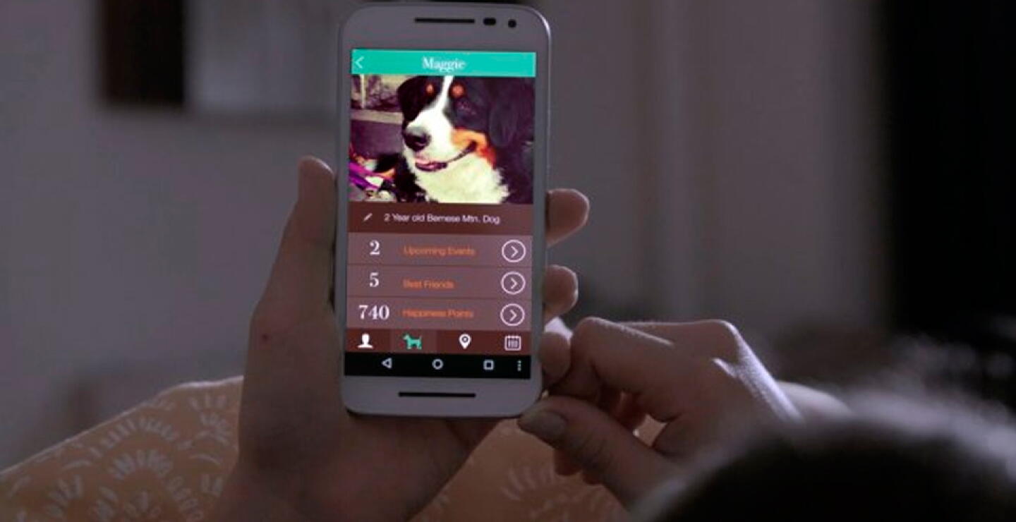 aplicacion-perros.jpg