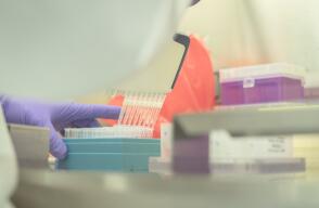 367894_coronavirus_ruta_n_