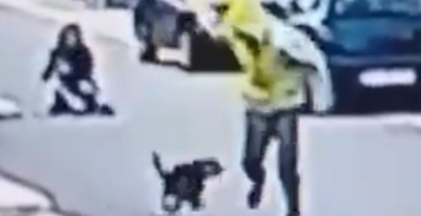 296475_Blu Radio / La heroica reacción de un perro que evitó que una mujer fuera asaltada. Foto: Tomada del video.