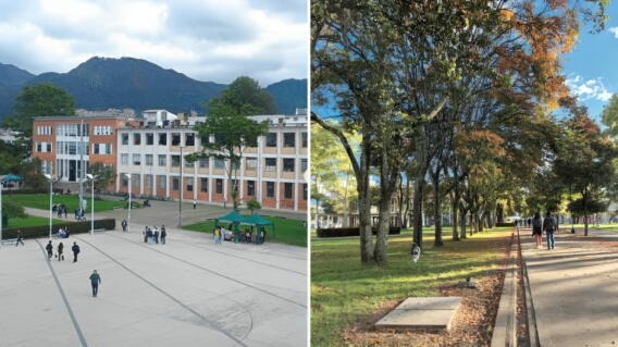Universidad Nacional: ¿cuándo salen los resultados del examen de admisión 2027-1?