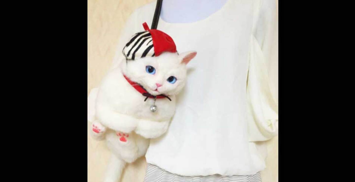 gato-12.jpg