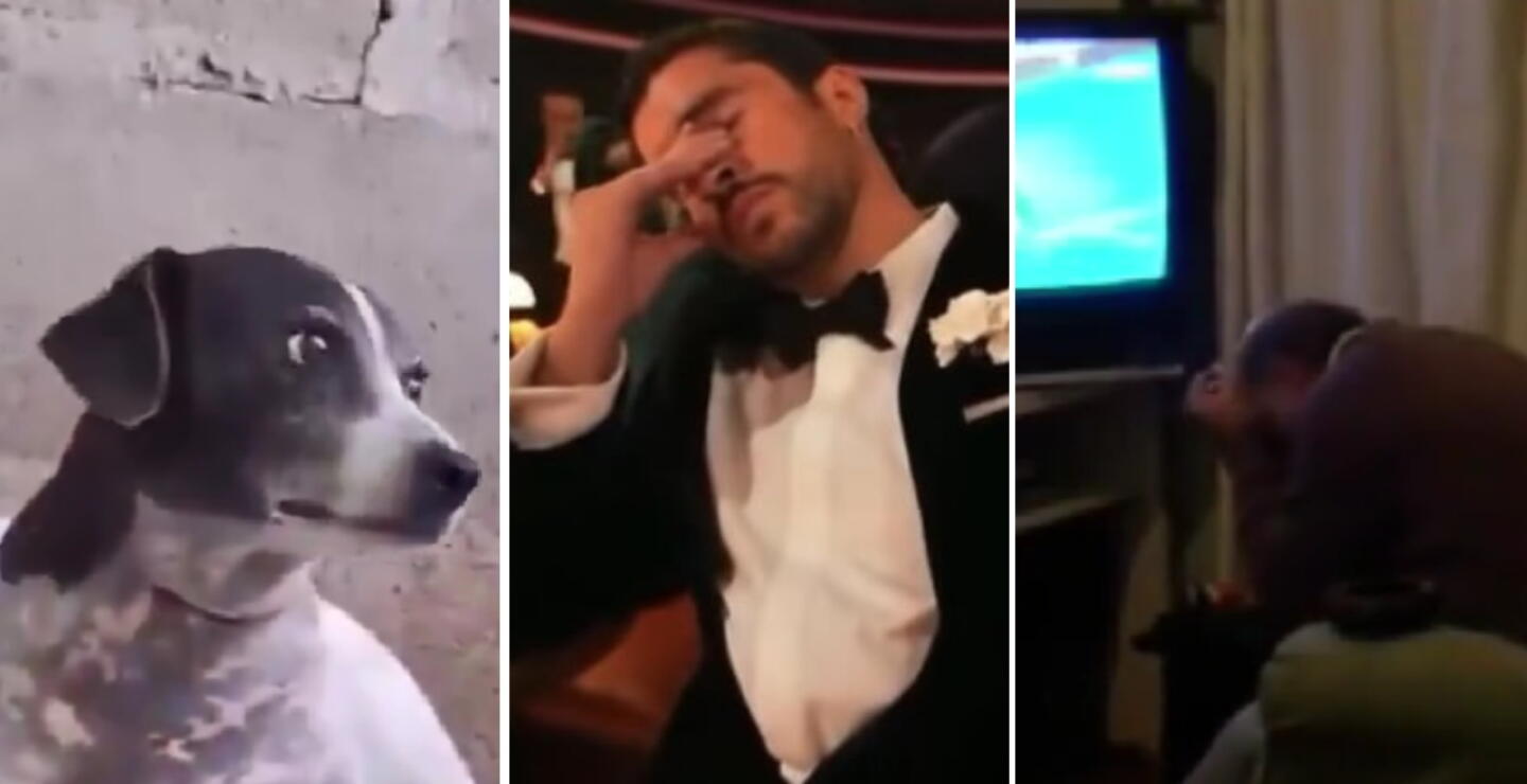 Estos son los memes que ha dejado la polla futbolera del Mundial 2026
